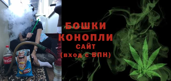 ECSTASY Богданович