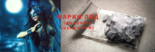 ECSTASY Богданович