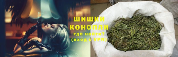 apvp Богородск