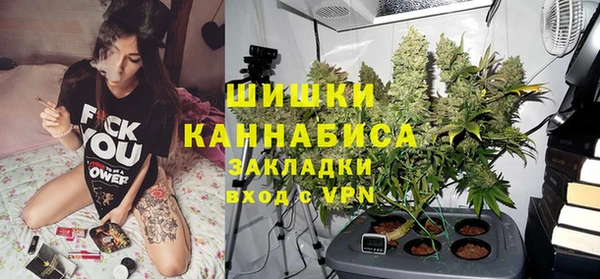 ECSTASY Богданович