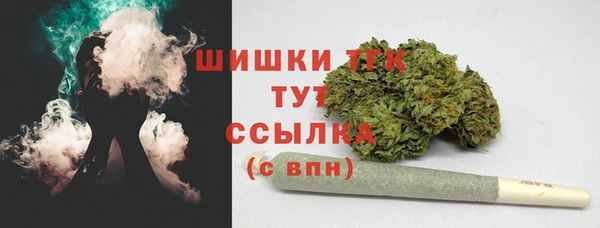 эйфоретик Богородицк