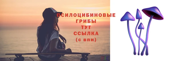 ECSTASY Богданович
