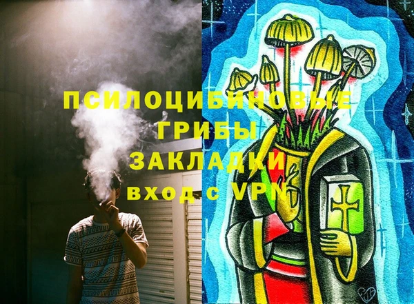 трава Бронницы