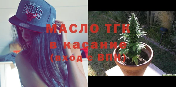 ECSTASY Богданович