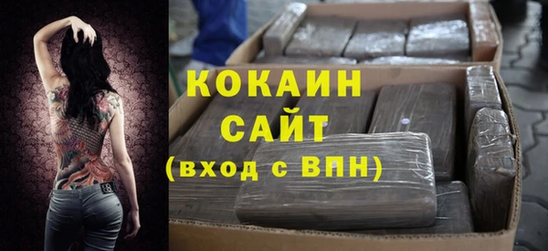 ECSTASY Богданович