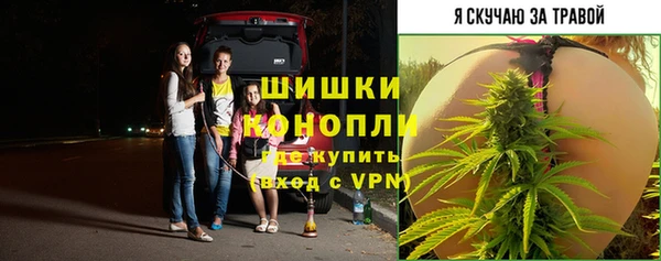эйфоретик Богородицк